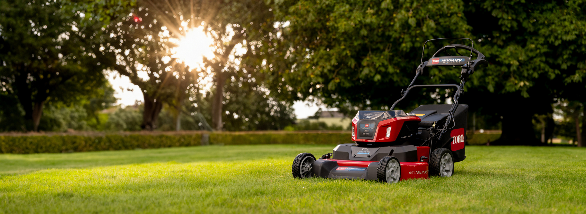 Tips and guides image